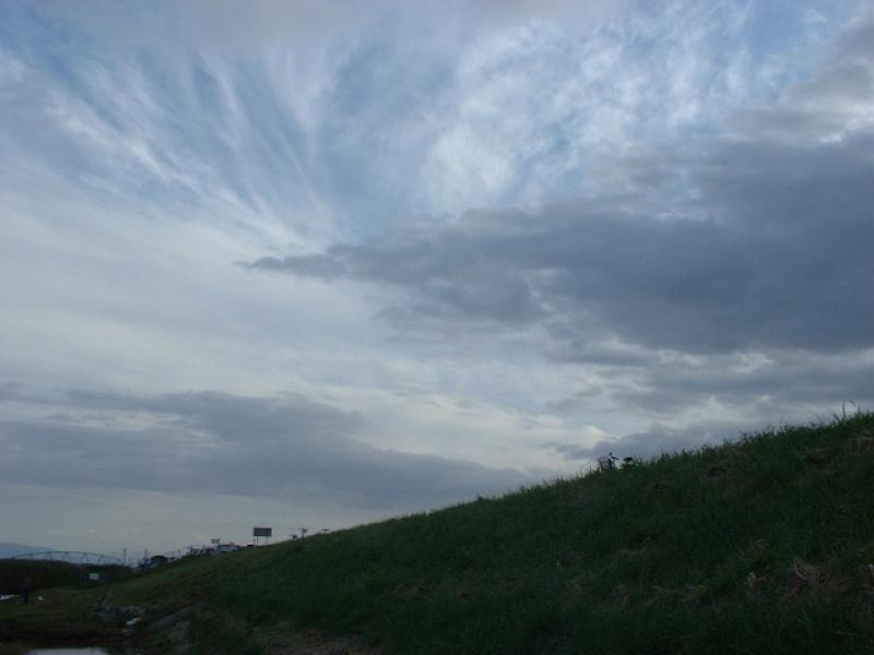 004.jpg